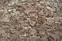 korek na ścianę, kora dębu korkowego- VIRGIN 25mm  900mm x 600mm