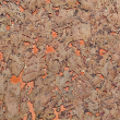 Próbka korka ściennego 3mm - 35