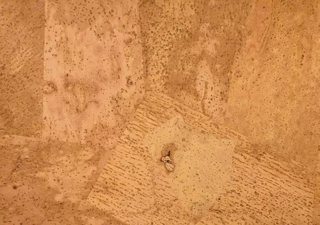 
Tkanina korkowa Hawana Normal
