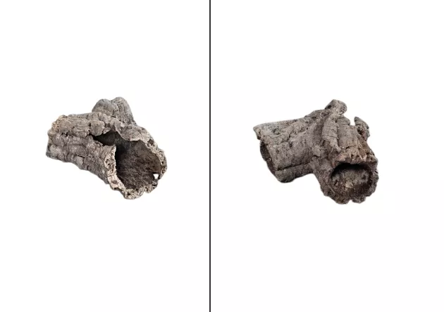 Tuba korkowa kora surowa