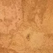 Próbka tkaniny korkowej