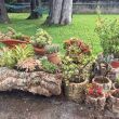 Tuby korkowe naturalne o średnicy 10-15 cm - 3
