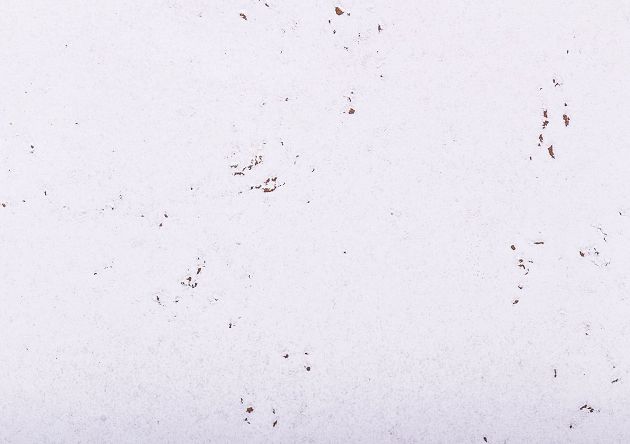 korek dekoracyjny DECORATIVE SNOW 3mm-końcówki serii