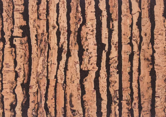 Korek ścienny BAMBO 4