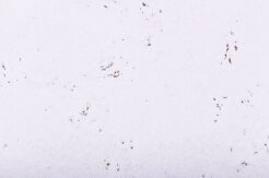 korek dekoracyjny DECORATIVE SNOW 3mm