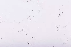 korek dekoracyjny DECORATIVE SNOW 3mm