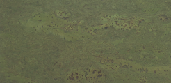 Korek ścienny Exclusive Green 3mm