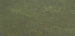 Korek ścienny Exclusive Green 3mm