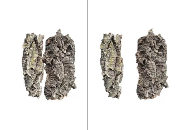 Zestawy kawałków kory naturalnej