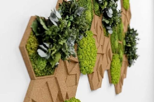 Zielona ściana - cudowna moda na wertykalne ogrody
