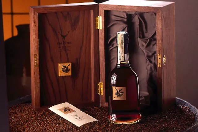 Ciekawostki na temat korka