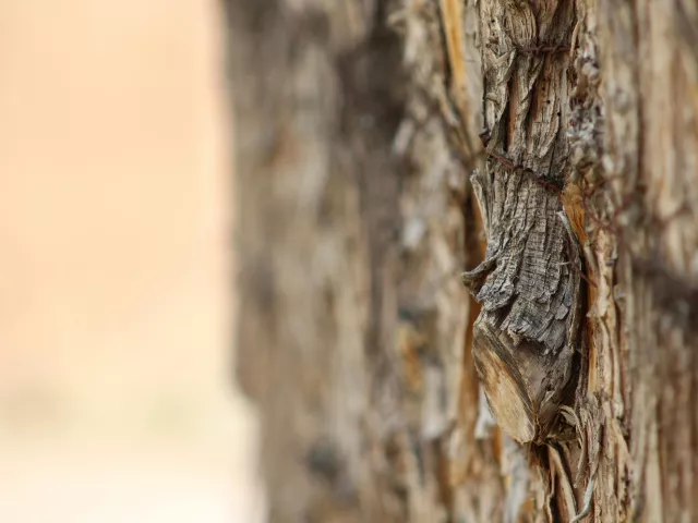 Najlepsze sposoby wykorzystania korka w remontach i modernizacji wnętrz 
