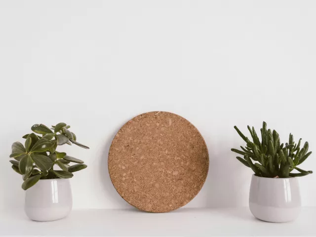 Płyta korkowa – naturalne zabezpieczenie mebli i ścian