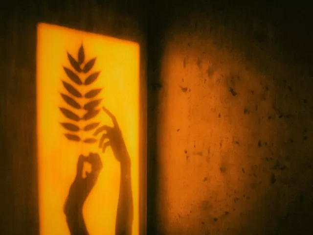 Korek a akustyka. Jak korek poprawia jakość dźwięku w pomieszczeniach