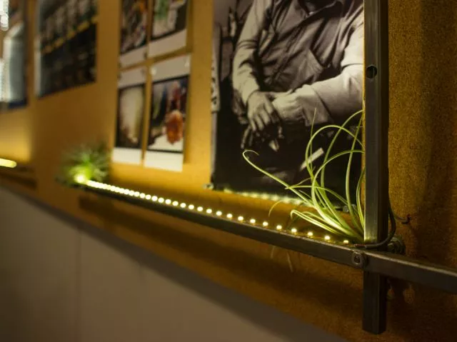 Jak łączyć korek ścienny z innymi materiałami wykończeniowymi?