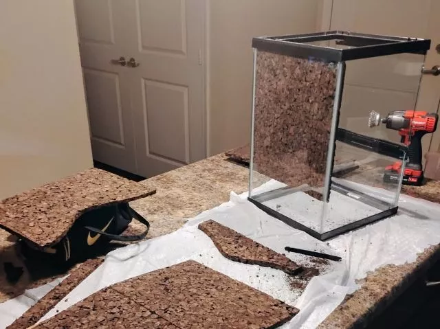 Korek na ściany terrarium - wybierz korek ekspandowany!