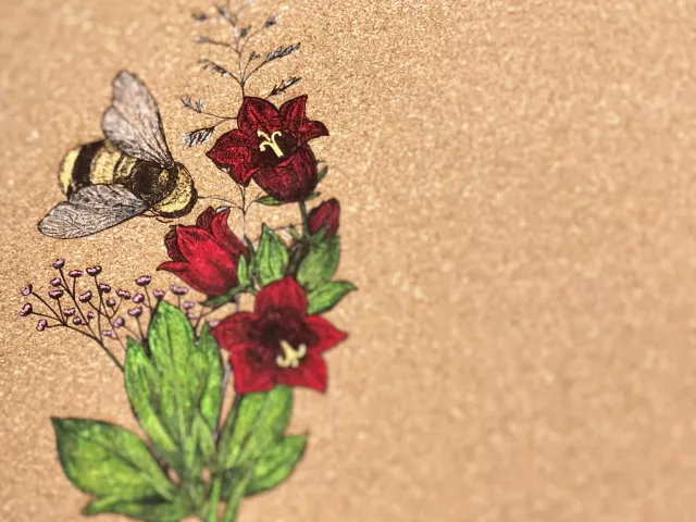 Czym pomalować korek na ścianie? 